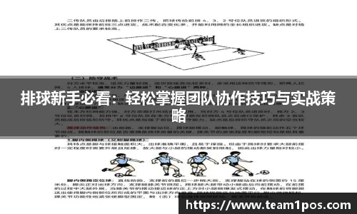 DG视讯官方网站