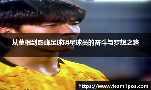 DG视讯官方网站